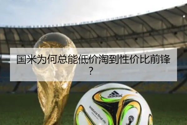 国米为何总能低价淘到性价比前锋？